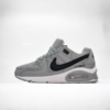 Nike Air Max gris