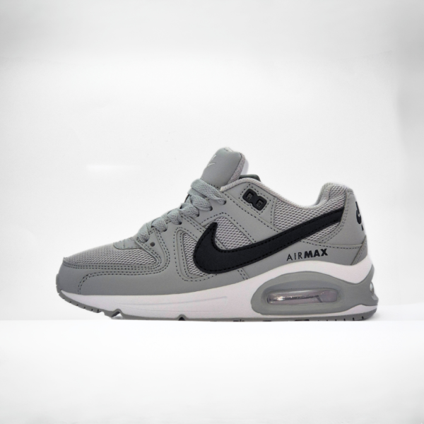 Nike Air Max gris